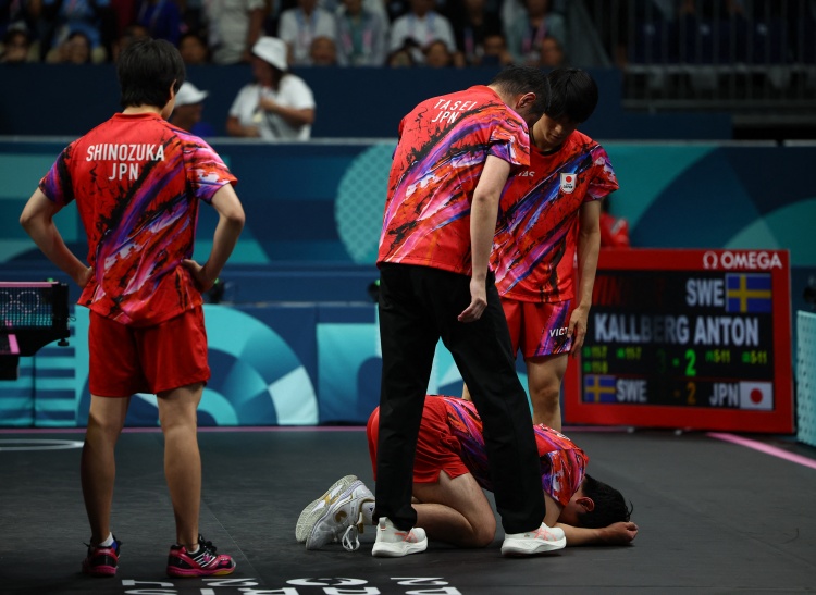 日本队翻盘瑞典队,樊振东带队取胜 日本队翻盘瑞典队,樊振东带队取胜