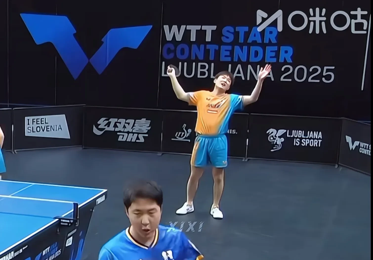 葡萄牙队轻取奥地利队，张本智和惊艳四座