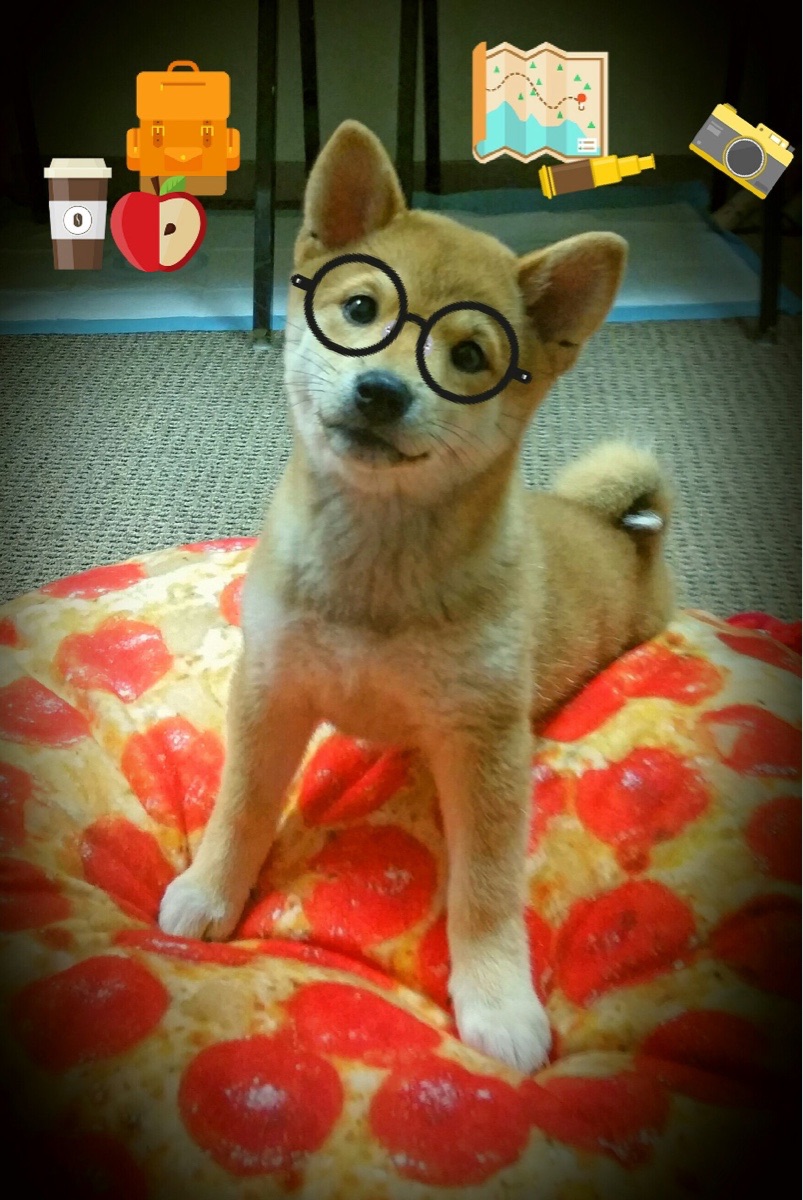 紫禁城的雪落进盐湖城，胡金秋如何用东方篮球的顿挫，瓦解了爵士的速度美学