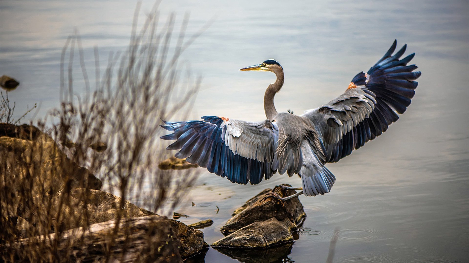 爱游戏tv-红土悍将草尖跳舞，鲁德扛起全队，在温布尔登的绿毯上完成对蒙特卡洛的奇异横扫