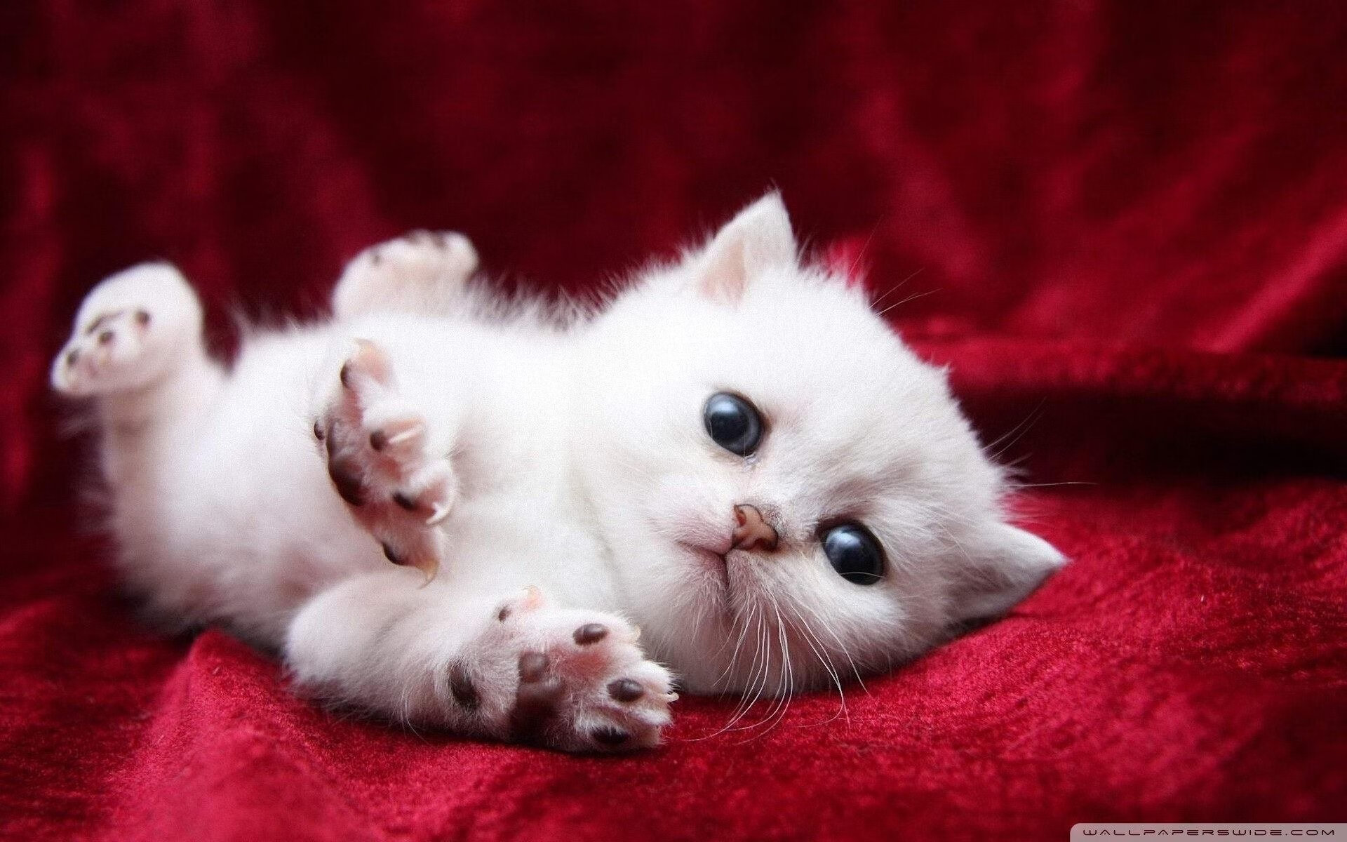 当神话重临绿茵，希腊逆转与伊布之火