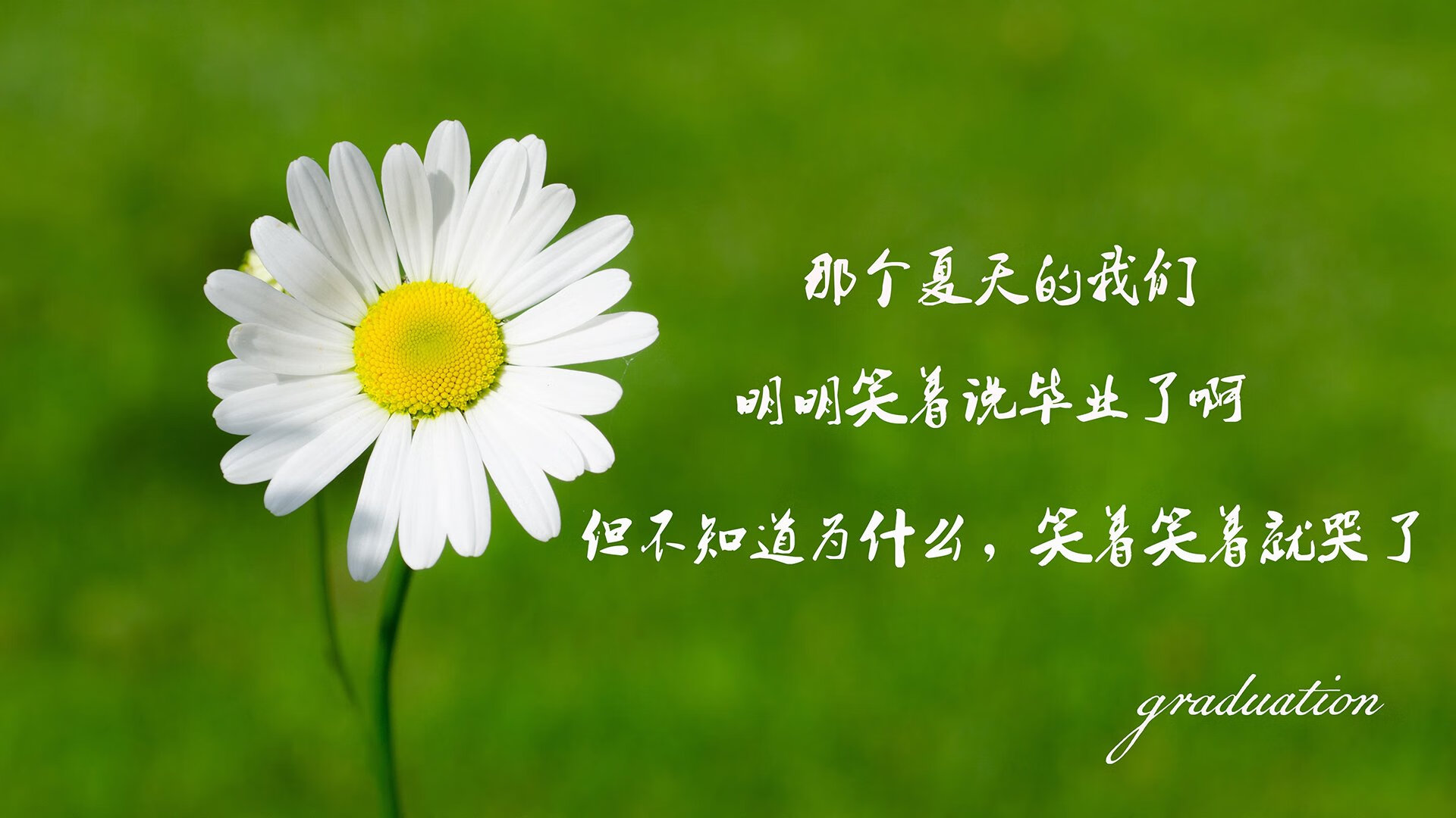 逆转闪耀对决，锡安领航青岛惊艳翻盘火箭