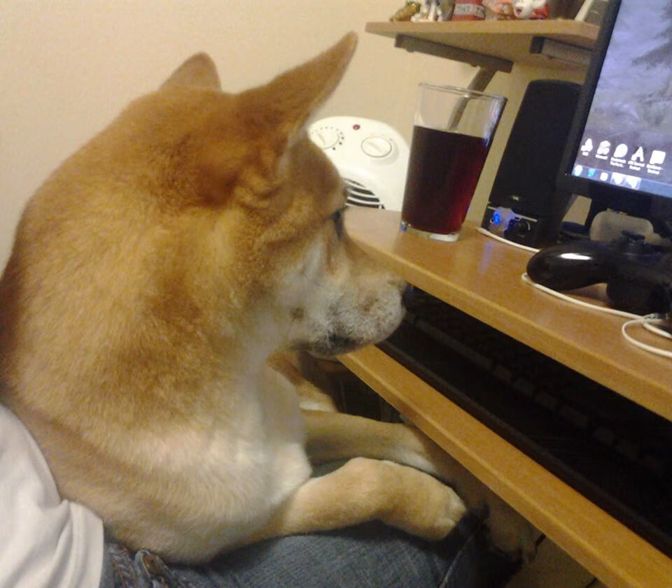 当太行山岩撞上亚特兰大风暴，小贾伦·杰克逊如何成为跨洲际战役的破壁人