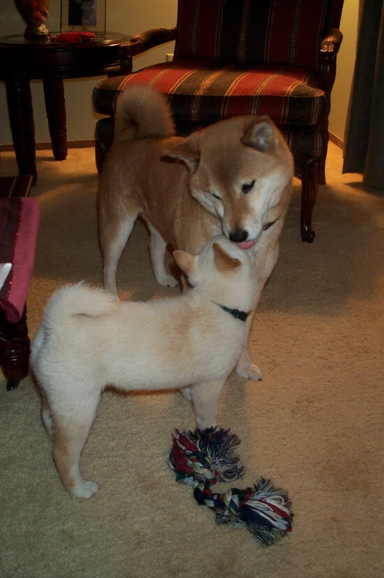 跨时空对决！爱德华兹52分神迹难救主，北京男篮量子纠缠击败凯尔特人