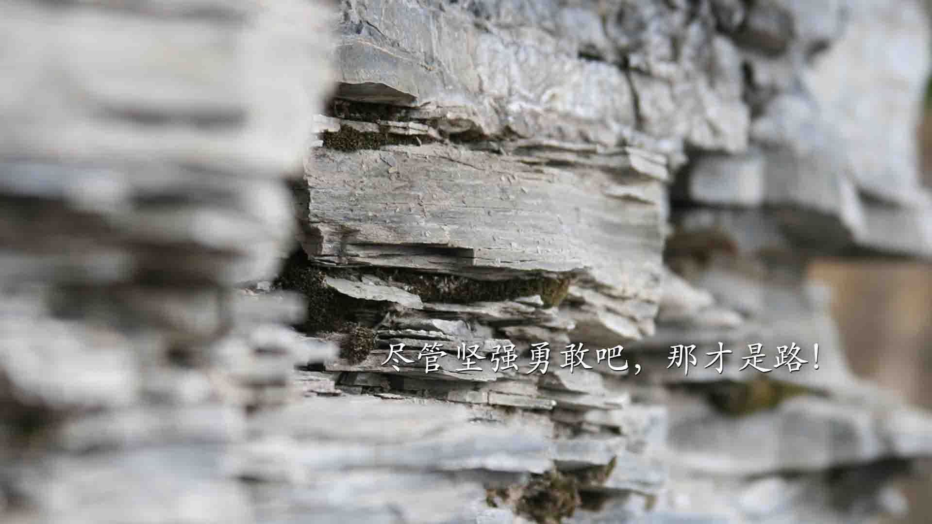双重世界的交响，卡拉斯科爆发，勒沃库森以南美密钥稳稳拿下委内瑞拉
