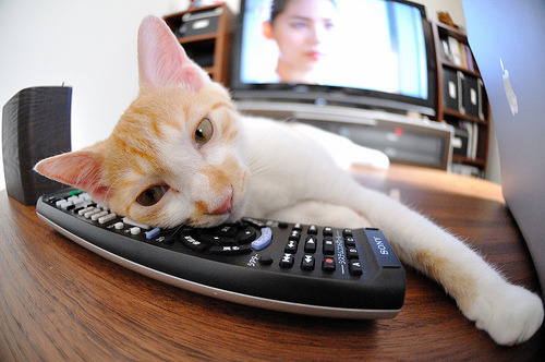 德甲争冠焦点战，雄鹰巅峰对决力克矿工，悬念终现曙光