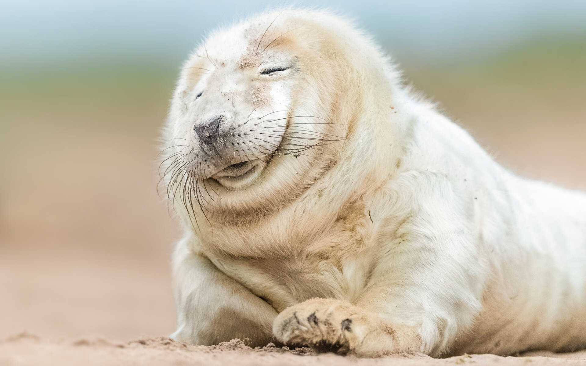 终极炼狱！欧战史上首次抢七战，拉齐奥窒息式粉碎多特蒙德