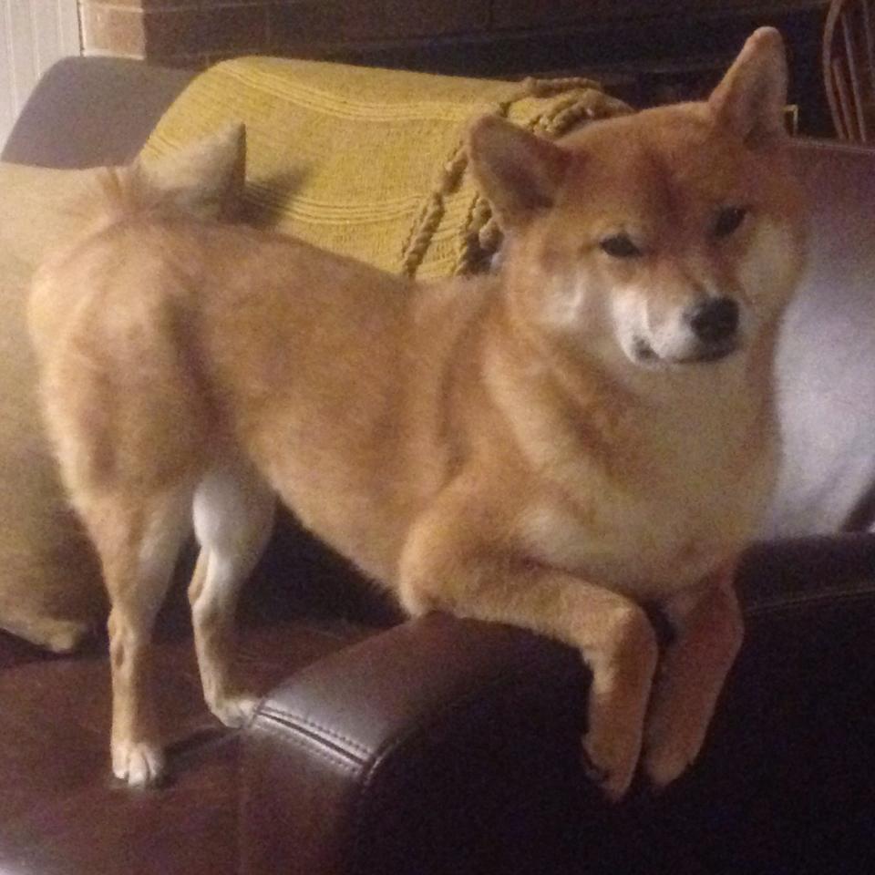 虚拟绿茵上的跨洲对决，韩国电竞少年绝杀加拿大，改写欧冠半决赛历史