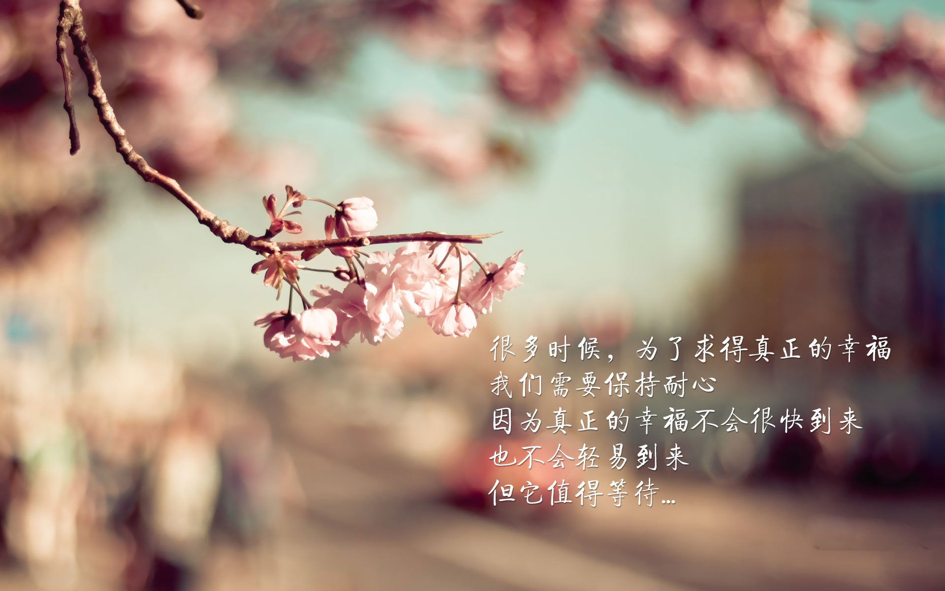 血染沙漠的加冕，当梅西用10分钟撕裂亚洲铁壁，世界杯E组迎来史诗绝对