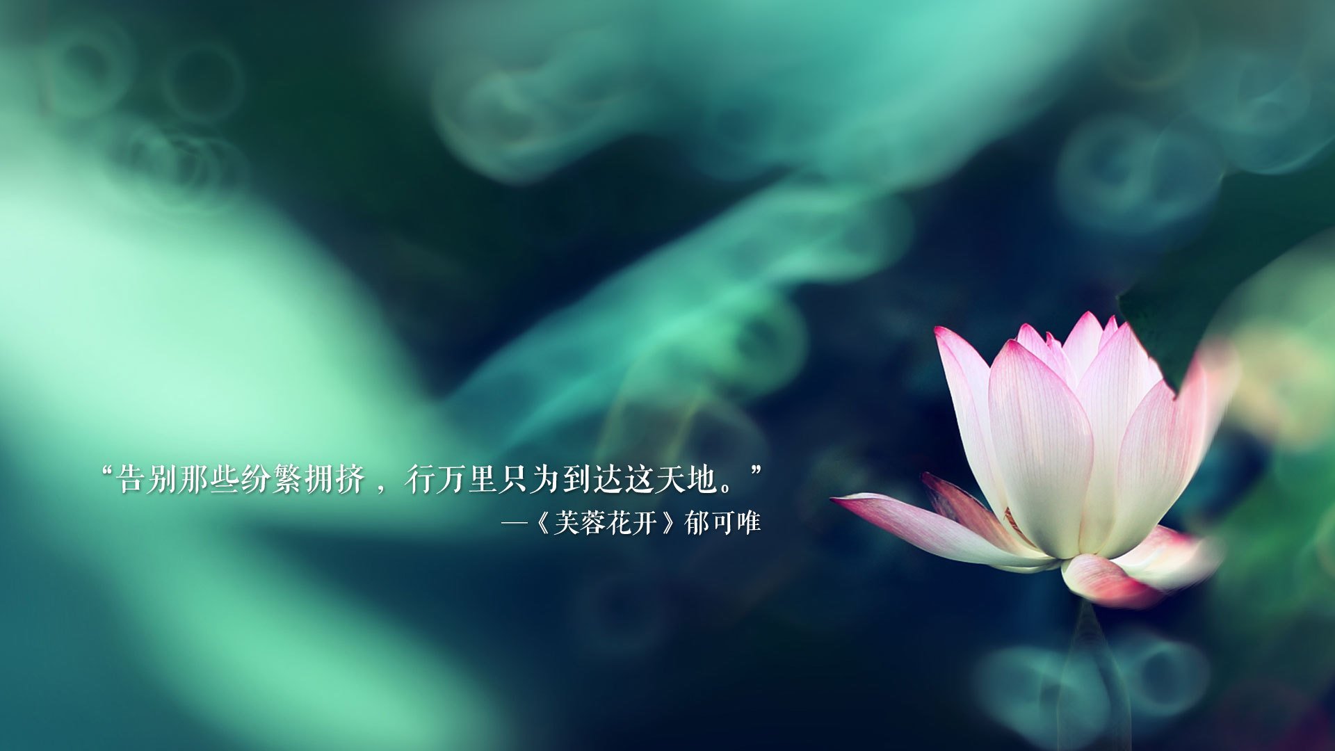 2026世界杯G组，节奏风暴下的致命一击—齐耶赫绝杀，美国完胜印度