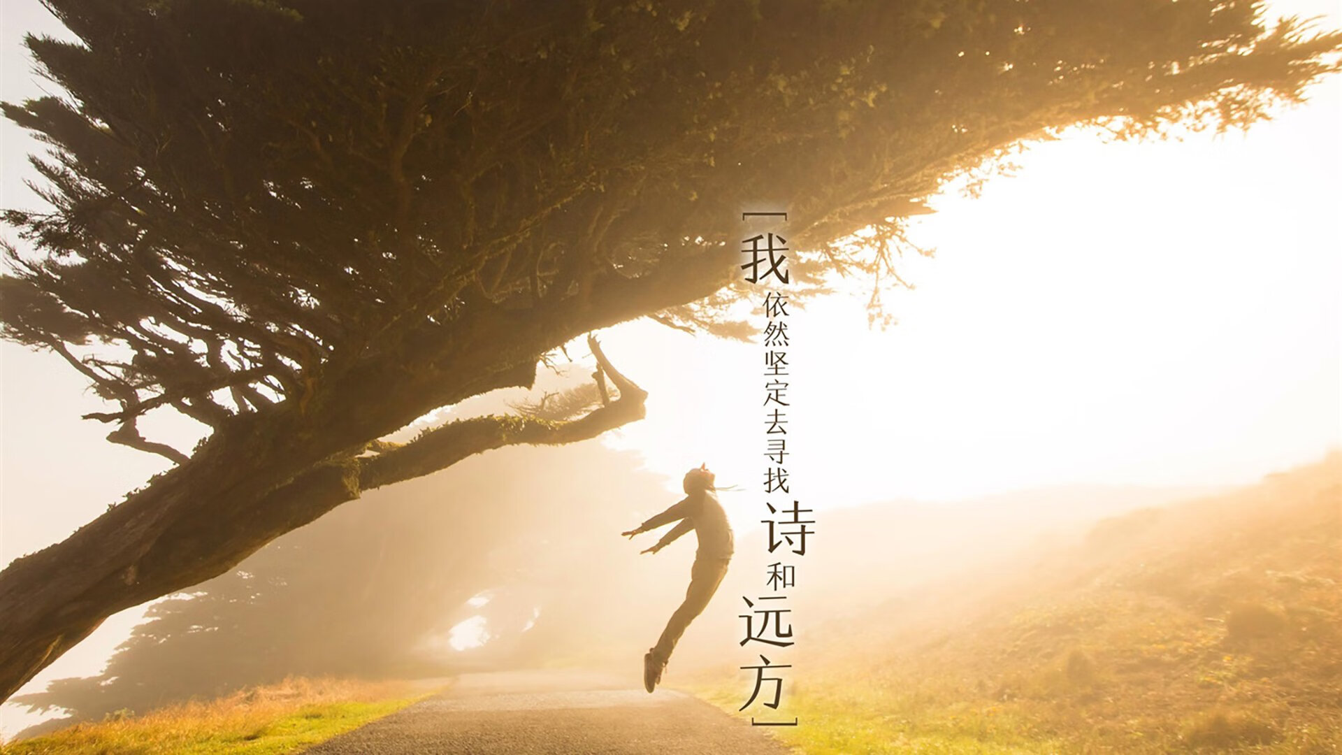 2026世界杯G组，节奏风暴下的致命一击—齐耶赫绝杀，美国完胜印度